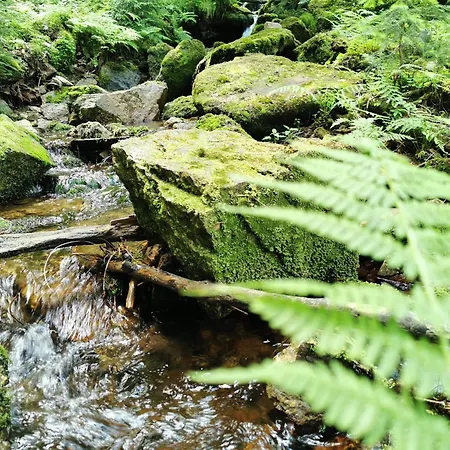 Park B9 Basen, Sauna, Jacuzzi, Silownia, Widok Apartament